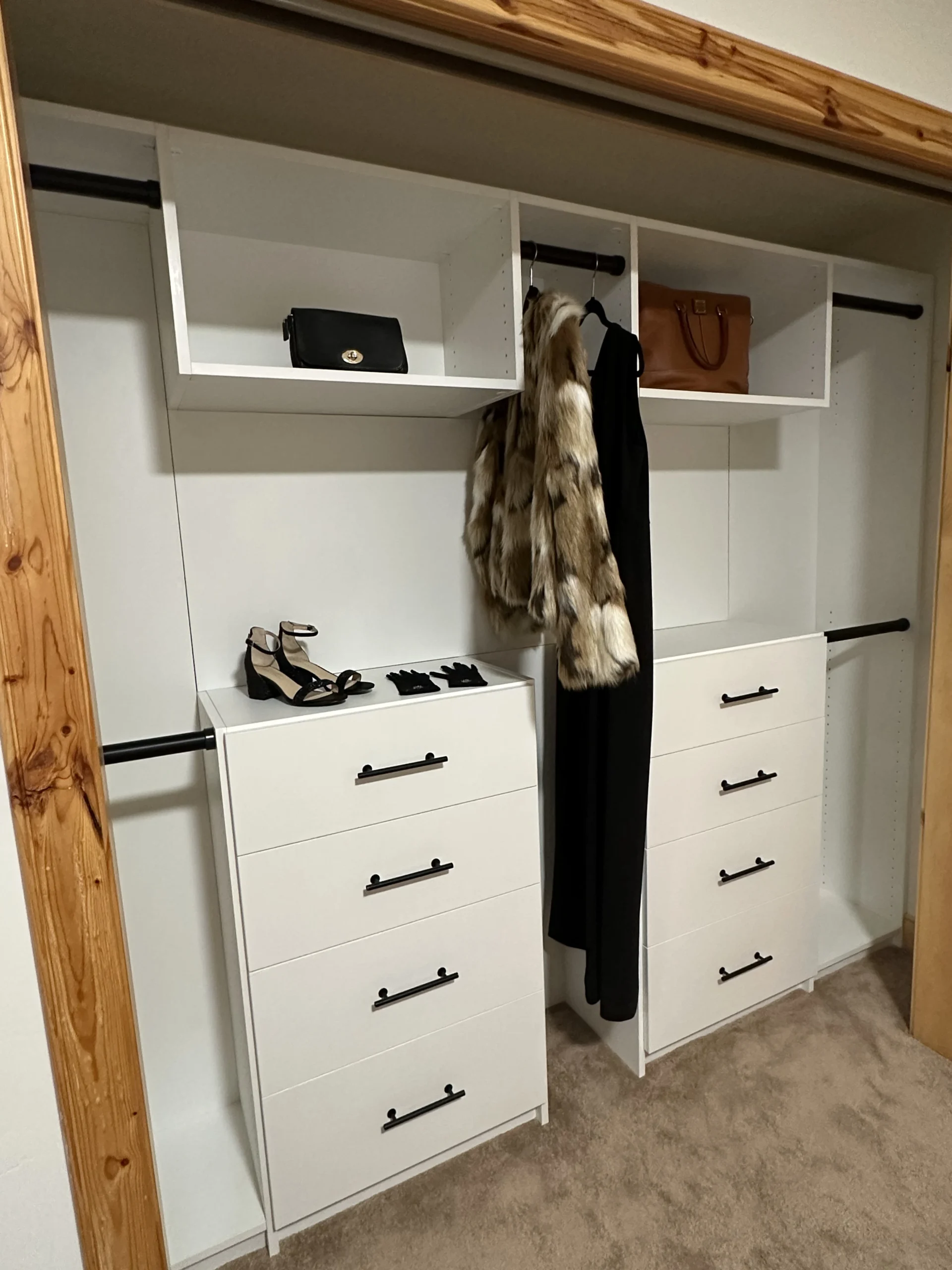 Closet project